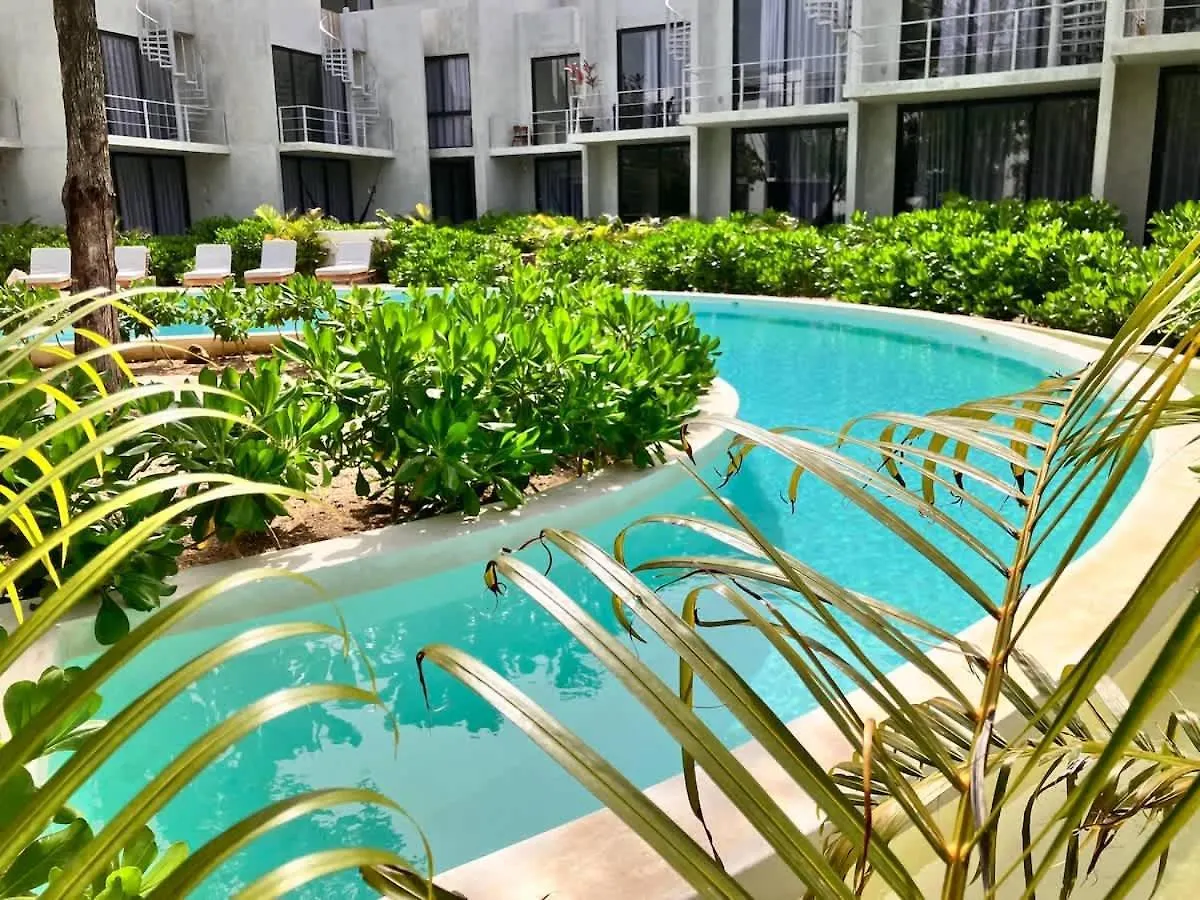 Apartment Tulum Aesthetic Mater Suite Seremonia Origen With Private Pool Rooftop Jacuzzi And Gym